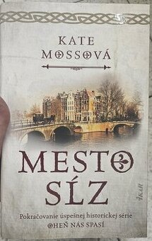 Kniha Mesto sĺz