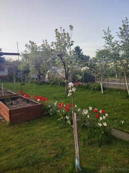 Záhrada - Bratislava – Ružinov - 660m2