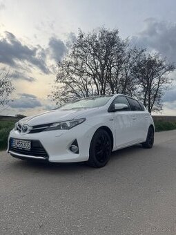 Auris hybrid