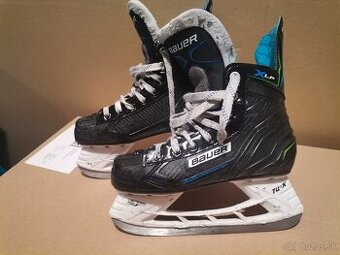 Bauer - 1
