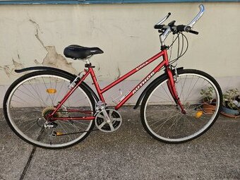 Bicykel author linea