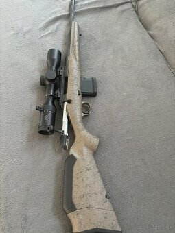 Ruger 300 blk