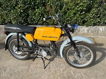 Jawa mustang