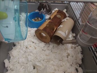 Džungarský škrečok s klietkou