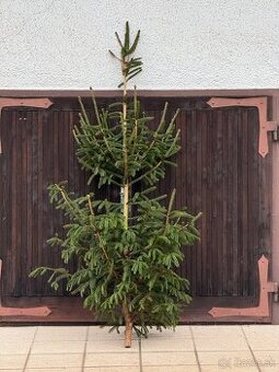 vianočný stromček