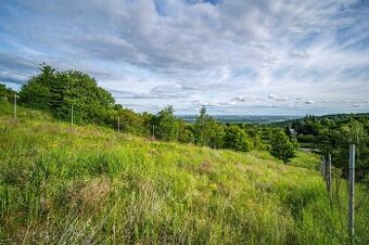 TOREA -  POZEMOK NA PREDAJ - 2905 m2 - SVÄTÝ JUR, OKRES PEZI