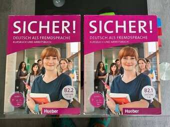 Sicher B2