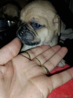 mops