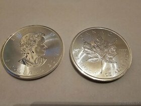 Investičná strieborná minca Maple Leaf 1OZ