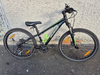 specialized