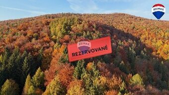 Les v katastrálnom území Vydrná 38460m2