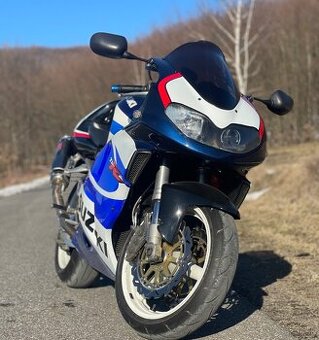 Suzuki TL 1000R