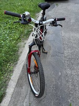 Specialized EN14766 - ako novy