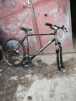 Bicykel Genesis DAYTONA 29"