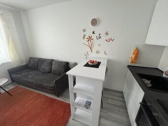 Garsonka na prenájom po úplnej rekonštrukcií - 1