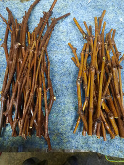 Predám odrezky viniča