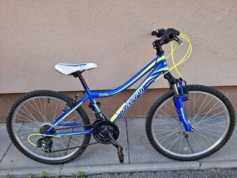 Bicykel Harry Jetty 24'