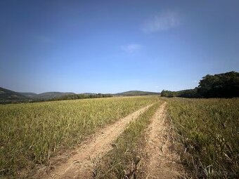 Stráňany – 5.315 m2 ORNÁ PÔDA a LES