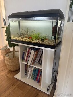 Predam zabehnute akvarium 60l komplet