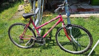 Dámsky bicykel