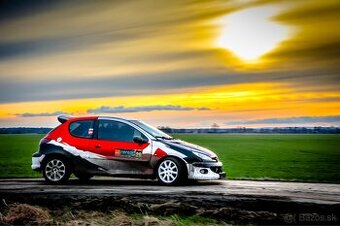 Peugeot 206 RC Rally 2.0