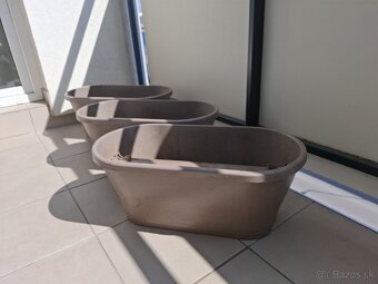 Kvetinace elho Corsica