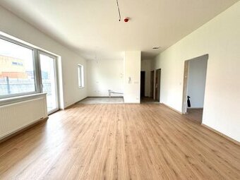NA PREDAJ: 2 - IZBOVÝ APARTMÁN S PREDZÁHRADKOU, STUPAVA,