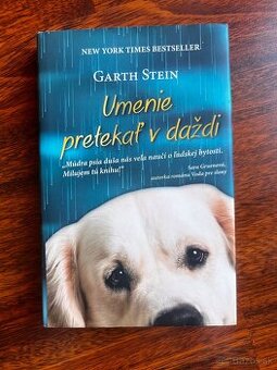 Umenie pretekat v dazdi