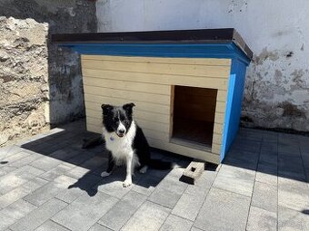 Ručne vyrobená izolovaná búda pre psa – TOP stav