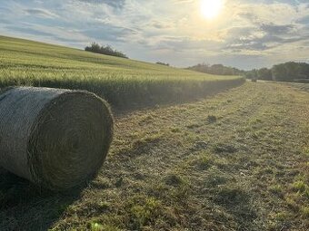 orná pôda v K.Ú. obcí Kolta Čechy Semerovo