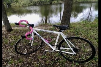 Bicykel