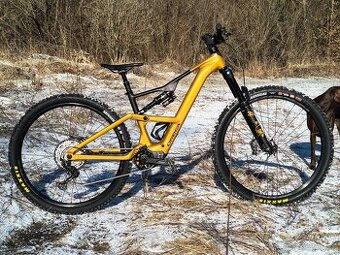 Orbea Rise LT H10 2025