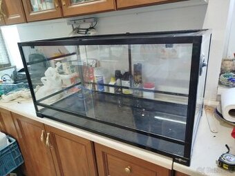 Terarium