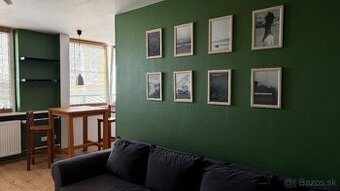 1-izb. byt ul. Fibichova, centrum, v blízkosti Auparku - 1