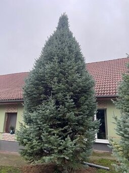 Vianočný stromček