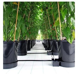 Autopot 1Pot XL, 12 kvetináčov bez nádrže (Aquavalve5)