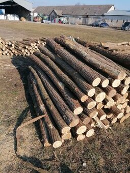 Agátové stĺpy, koly.