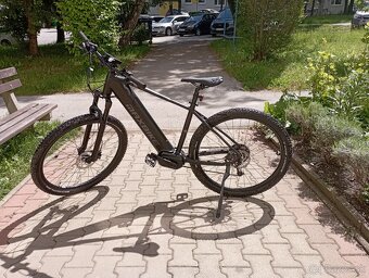 Maxbike Hakon 2.0 2024 19"čierna/šedá