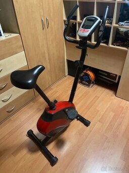 Rotoped stacionárny bicykel Sapphire Falcon RS