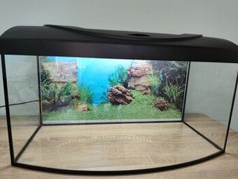 Aqvarium