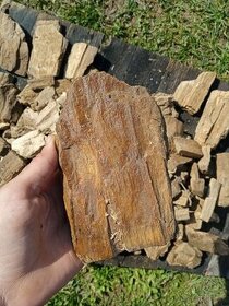 Skamenené drevo 20 kg