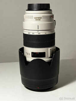 Canon EF 70-200mm f/2.8L IS II USM