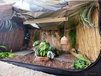 Predam growtent 160x80x80cm