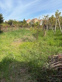 Prenájom záhrady vo Vajnoroch