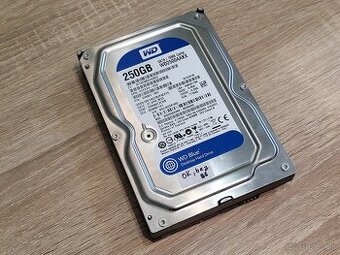 3,5" HDD Western Digital Blue, 250 GB, 7200 rpm, WD2500AAKX