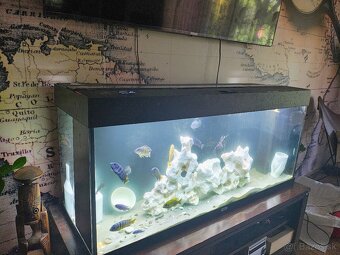 Predám akvárium JUWEL RIO 240