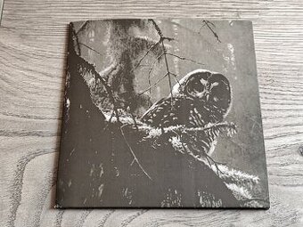 STRIX - "Strix" 2008 CD-EP