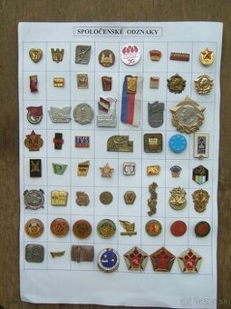 Spoločenské odznaky