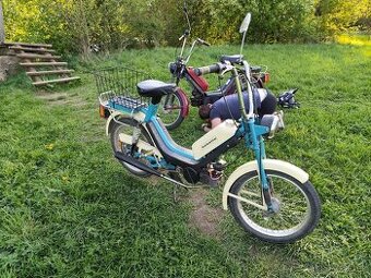 Babeta 210