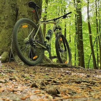 Predam horský bicykel Specialized Rockhopper veľkosť XL